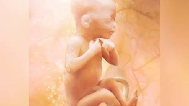 39 Haftalik Homila. Homiladorlikning 39-haftasi.