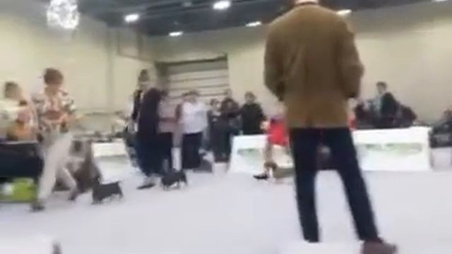 "Jubileum WUT World Winner Show - 04.06.2017"-1 смотреть онлайн