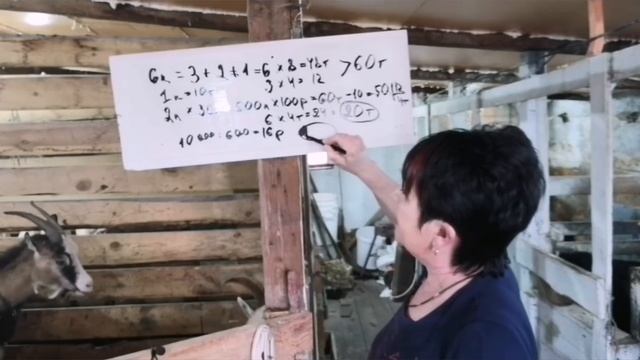 Какой доход от козы?? Себестоимость козьего молока. смотреть онлайн