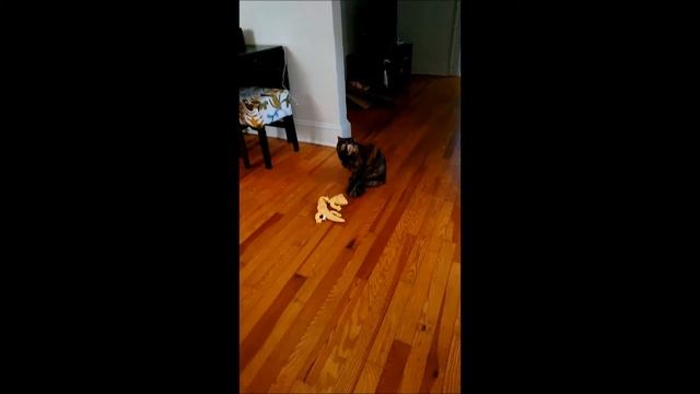 Beans jumps смотреть онлайн