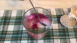 431. В чем замочить лук перед посадкой