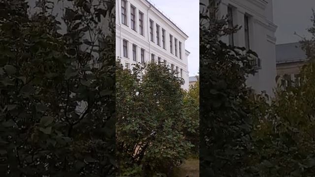 Дзержинск, улица Грибоедова, дом 9. 10.09.2022. смотреть онлайн