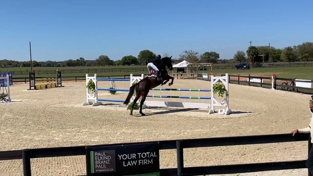 2020 Rocking Horse Winter III Horse Trials: Riot Gear (Open Preliminary) смотреть онлайн
