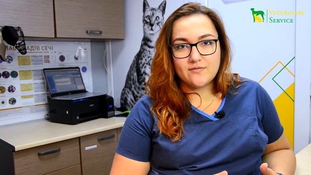 ЛОМАЕМ СТЕРЕОТИПЫ ВЕТЕРИНАРА И ЕГО РАБОТЫ смотреть онлайн