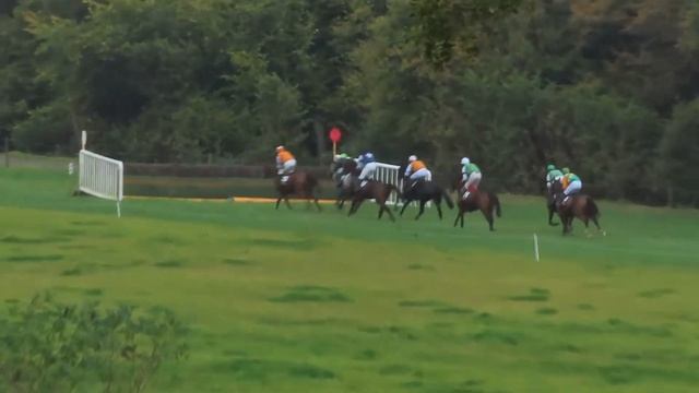 P2P - Ballycrystal 24 Oct 2020 - R1 D1 Tattersalls Ireland 4yo Maiden смотреть онлайн