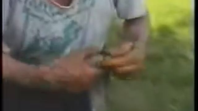 Пастуший рог смотреть онлайн
