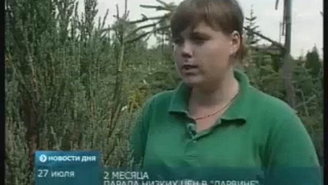 Парад низких цен на хвойные.mpg смотреть онлайн