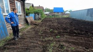 Трактор Т-40 пашет заброшенный огород с большими корнями.  Вывезли мусор на МТЗ-80/Белорус/СССР