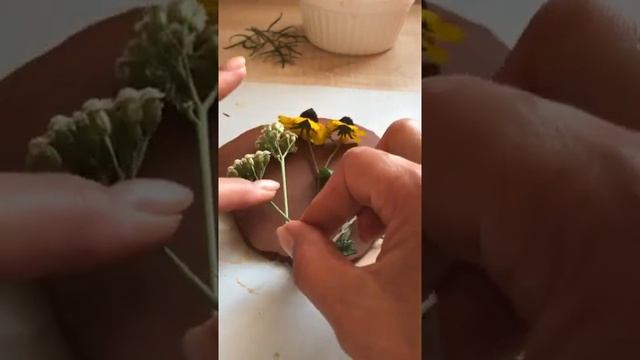 Мастер класс Ботанический барельеф из глины смотреть онлайн