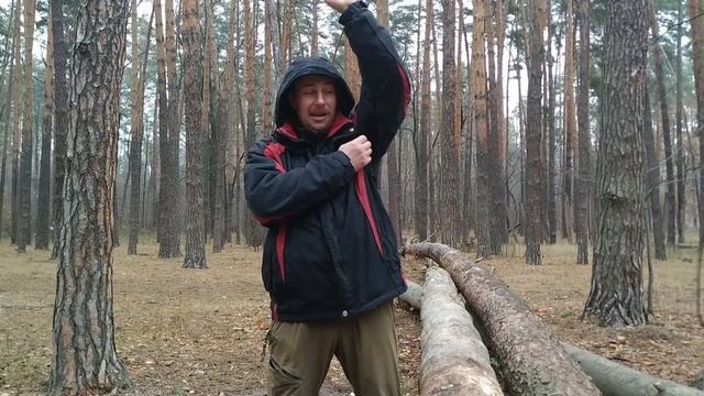 Выбор демисезонной куртки 0 +10 С