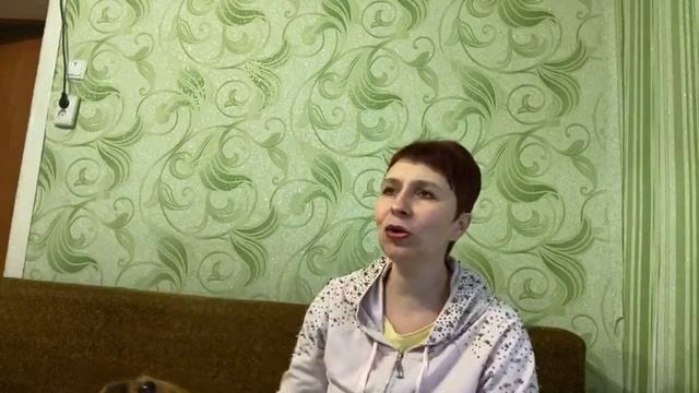 Выращивание бахчевых и отвечаю на вопросы. смотреть онлайн