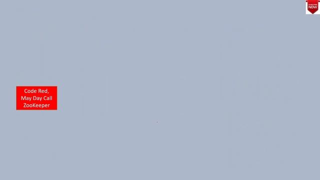 System Design of Tiny URL: Architecture, Scalability, and Performance Explained смотреть онлайн