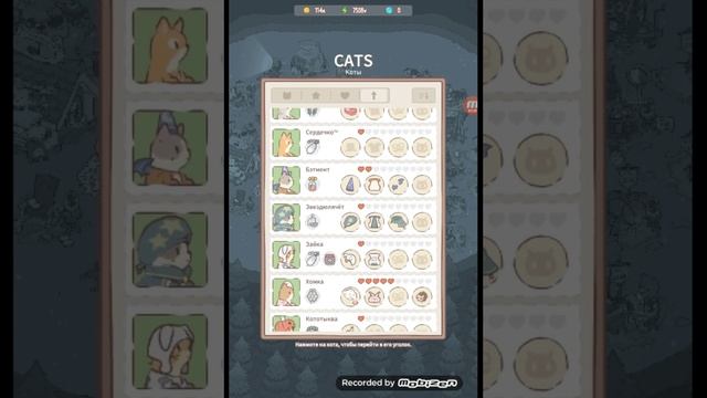 Поменял способность кошке Снежная бенгалия! Кошки и суп!