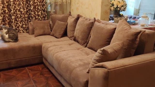 Отзыв о диване Gupan Nordkisa угловой 130*225 и интернет-магазине Анатомия сна смотреть онлайн