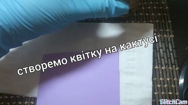 Крашанка - кактус смотреть онлайн