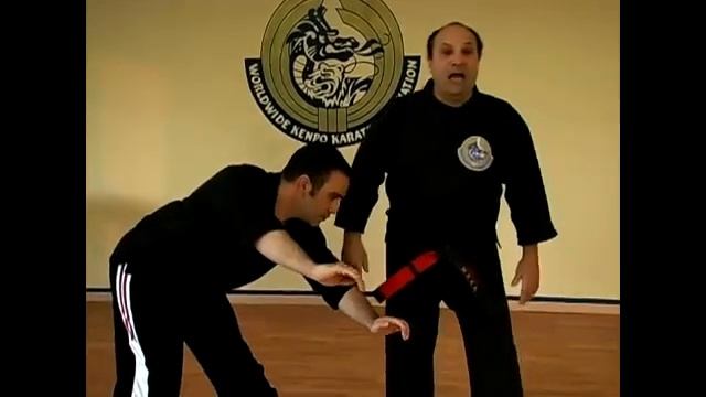 The Aggressive Twins Kenpo Karate Technique смотреть онлайн