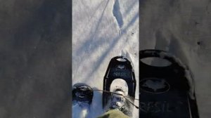 Снегоступы Canadian Camper Forester спуск и подъём