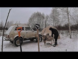 ''НА НЕДЕЛЮ В ЛЕС'' ПРИШЛИ ВОЛКИ! ''НАШЁЛ ОЗЕРО'' ЖЕРЛИЦЫ, ЗАБИРАЮ РЕЛЬСЫ!