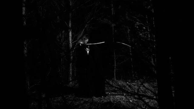 Grima - Кедр и Совы