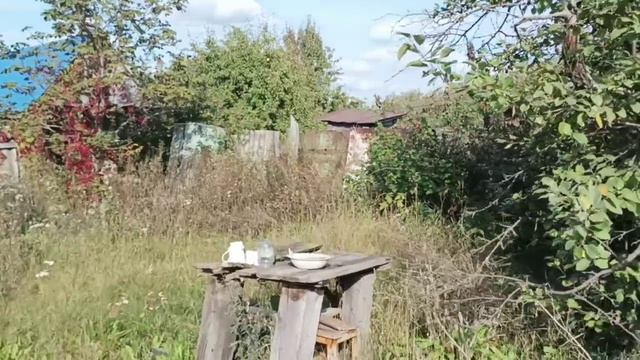 11441894 смотреть онлайн
