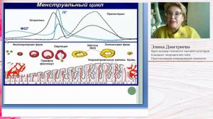 Регуляция менструального цикла