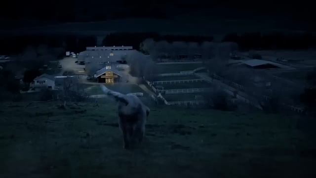 самые популярные видео 2015 года смотреть онлайн