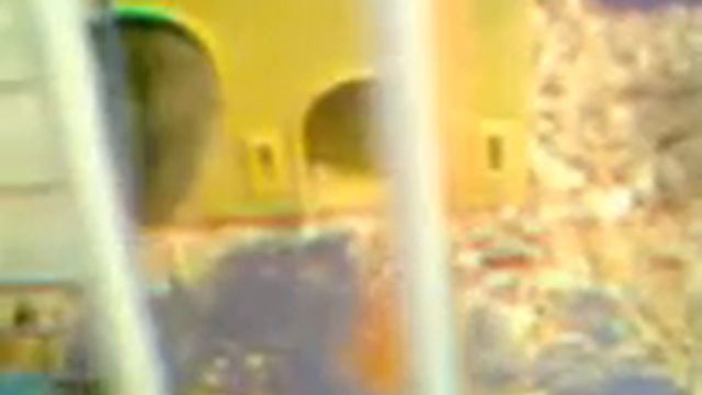 Хомяк чудит