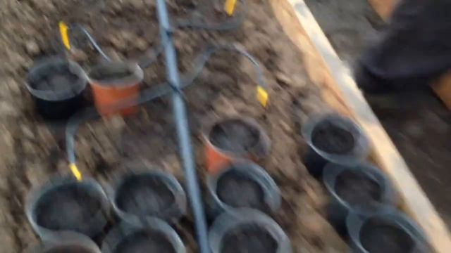 Умные грядки + система полива смотреть онлайн