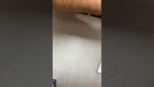 Выстовление 09.03 смотреть онлайн