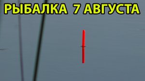 Рыбалка на поплавок 7 августа 2022.