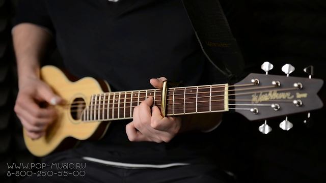 Акустическая гитара WASHBURN RO10 Travel (Тревел гитара) смотреть онлайн