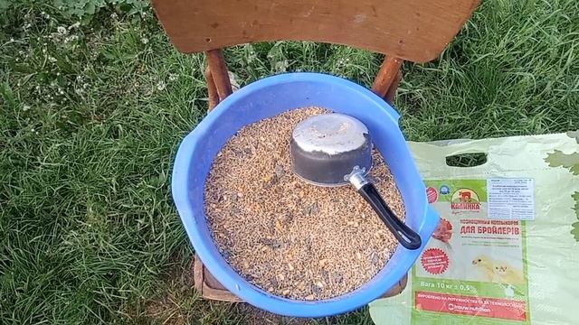 Чтобы Куры Хорошо Неслись. Секрет от Птицефабрики, чтобы Куры Неслись Каждый день. Чем Кормить Кур смотреть онлайн