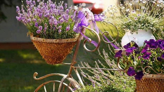 Top 10+ Purple Flower Plants..😇💞💞 смотреть онлайн