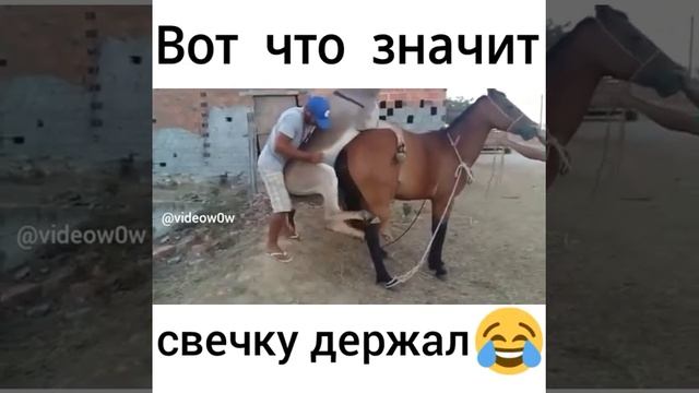 Вот что значит свечку держал смотреть онлайн