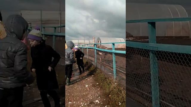 Страусиная дача (2) смотреть онлайн
