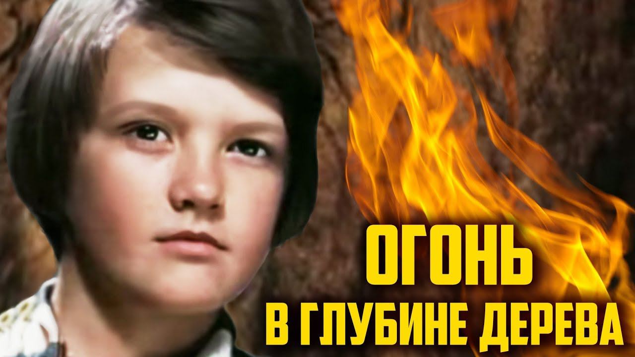 Огонь в глубине дерева (1978) смотреть онлайн