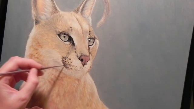 Caracal - A Painting Demonstration