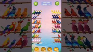 Bird sort color puzzle - 🦆🐥🐦 All Levels & Challenges (Mobile Gameplay)