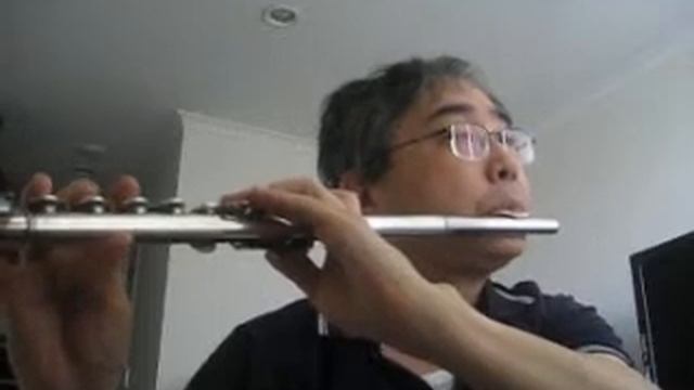 찬송가 Hymn - 342 장 - 어려운 일 당할 때 - Pearl Nickel Flute смотреть онлайн