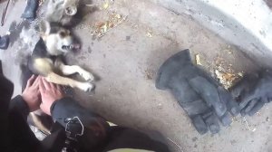 ПОЖАР в КВАРТИРЕ / Без ЖЕРТВ НЕ ОБОШЛОСЬ / ПОЖАР 1 БИС / Глазами МЧС