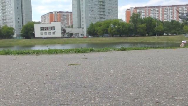 Heelys Кеды Кроссовки - Ролики!! СВЕТЯЩИЕСЯ! ?? Ксюша и Алиса! ?? Катаемся! смотреть онлайн