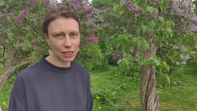 Сиреневый сад. Май. Москва смотреть онлайн