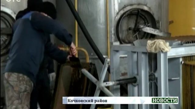 В Кочковском районе начали производство масла из рапса смотреть онлайн
