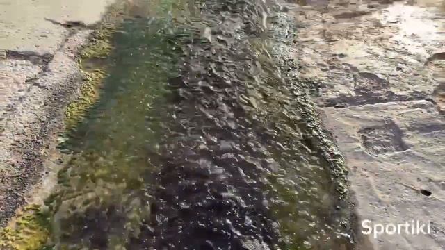 Пробежка на море смотреть онлайн