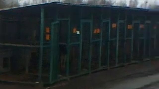 ВИТЕБСКИЙ ГОСУДАРСТВЕННЫЙ ПРИЮТ ЖИВОТНЫХ/ VITEBSK STATE ANIMAL SHELTER-BELARUS смотреть онлайн