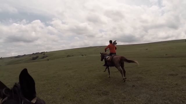 Самый быстрый галоп. смотреть онлайн