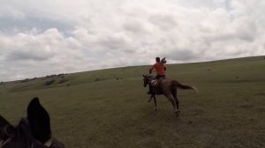 Самый быстрый галоп.