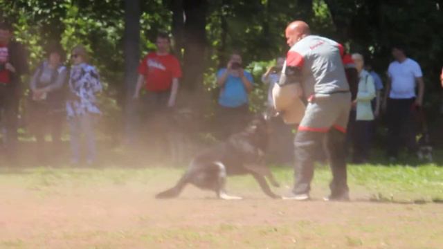 Лагвардия Дружина   (06.06.2015г.)  ЧК