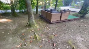 Парк-отель Морская Даль ‼️Вы просто посмотрите ‼️ Самый полный обзор. Головинка ( Сочи )