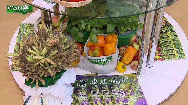 Малиновое чудо из "Садов России" смотреть онлайн